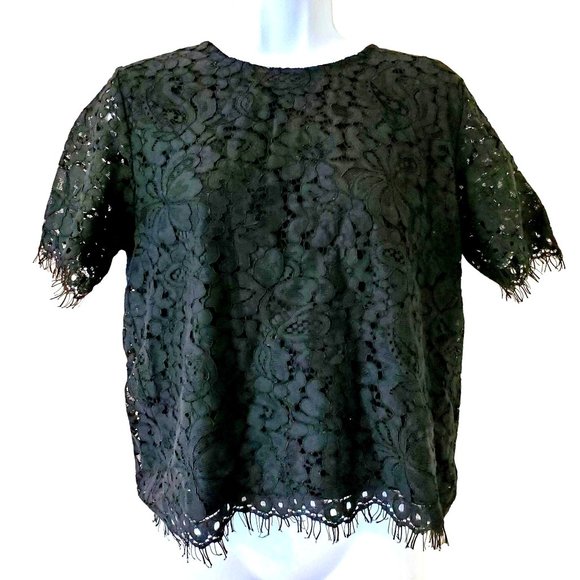 Women's Medium Ellison Blouse Lace Scalloped NWT - Picture 1 of 4